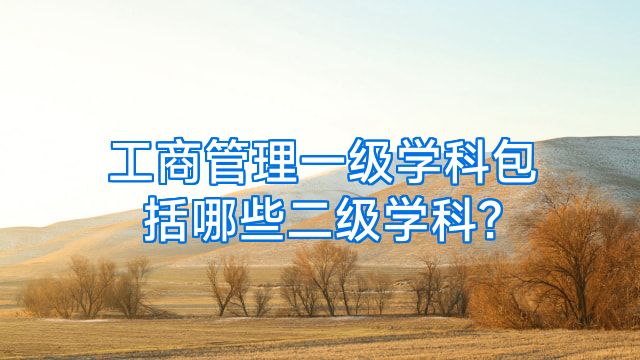 工商管理一级学科包括哪些二级学科?