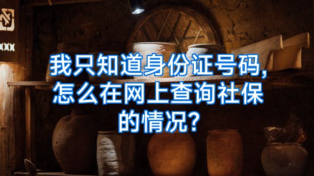 我只知道身份证号码,怎么在网上查询社保的情况?