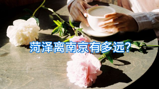 菏泽离南京有多远?