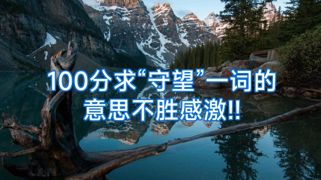 100分求“守望”一词的意思不胜感激!!