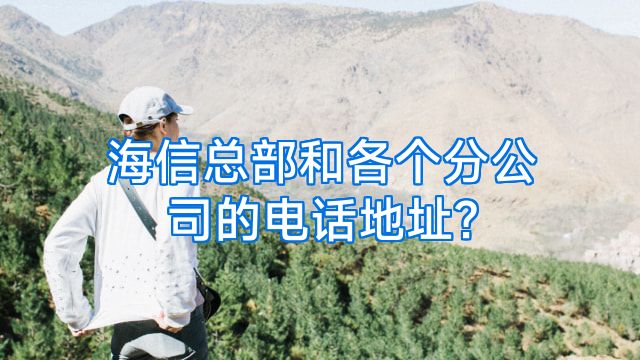 海信总部和各个分公司的电话地址?