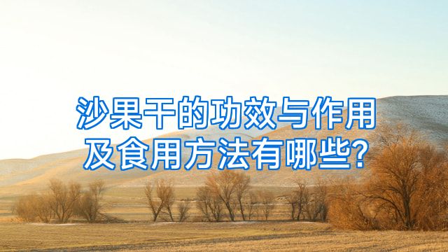 沙果干的功效与作用及食用方法有哪些?