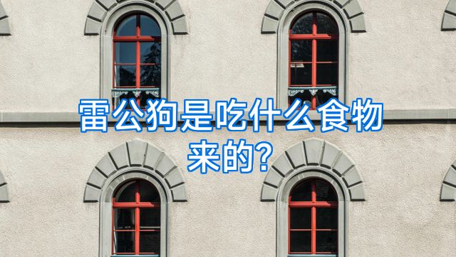 雷公狗是吃什么食物来的?