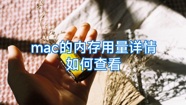 mac的内存用量详情如何查看