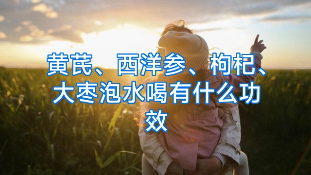 黄芪、西洋参、枸杞、大枣泡水喝有什么功效