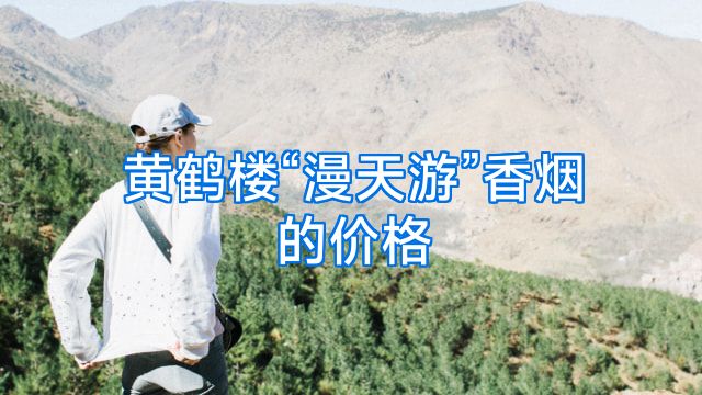 黄鹤楼“漫天游”香烟的价格