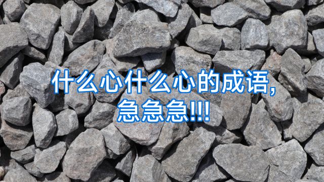 什么心什么心的成语,急急急!!!