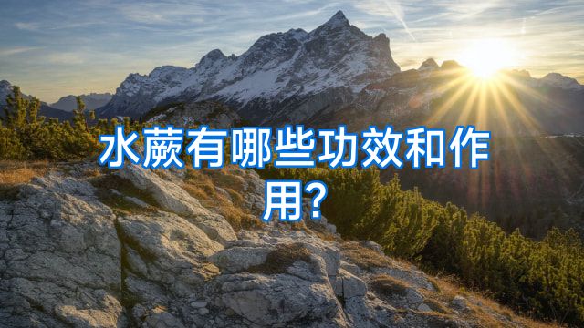 水蕨有哪些功效和作用?