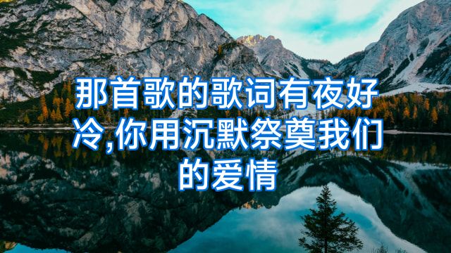 那首歌的歌词有夜好冷,你用沉默祭奠我们的爱情