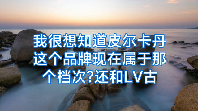 我很想知道皮尔卡丹这个品牌现在属于那个档次?还和LV古