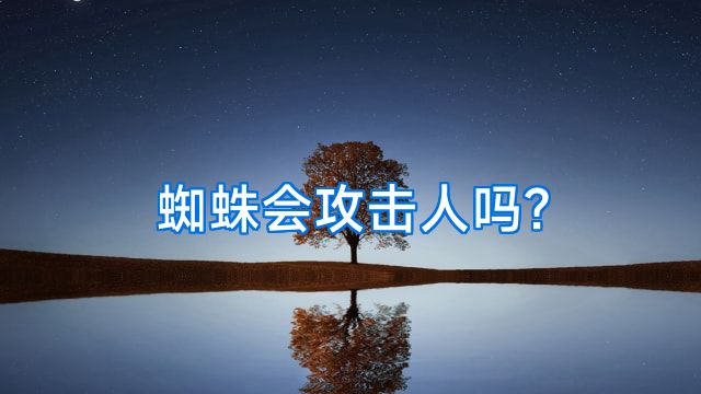 蜘蛛会攻击人吗?