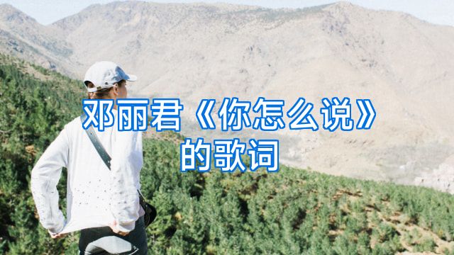 邓丽君《你怎么说》的歌词
