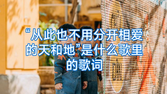“从此也不用分开相爱的天和地”是什么歌里的歌词
