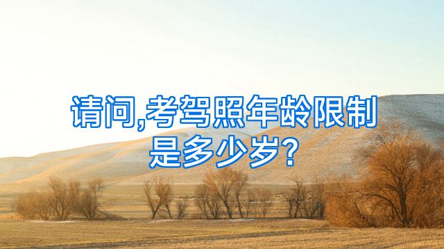 请问,考驾照年龄限制是多少岁?