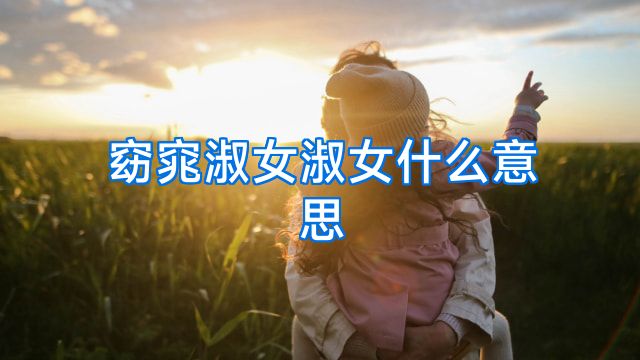 窈窕淑女淑女什么意思
