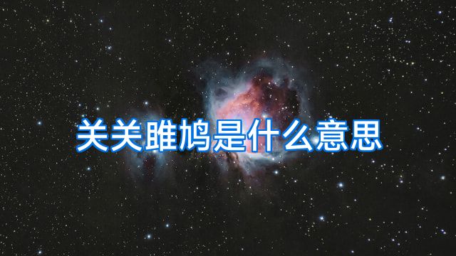 关关雎鸠是什么意思
