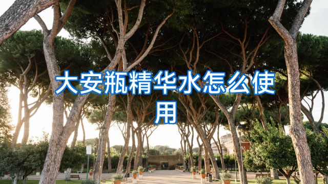 大安瓶精华水怎么使用