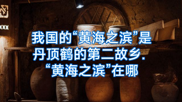 我国的“黄海之滨”是丹顶鹤的第二故乡.“黄海之滨”在哪