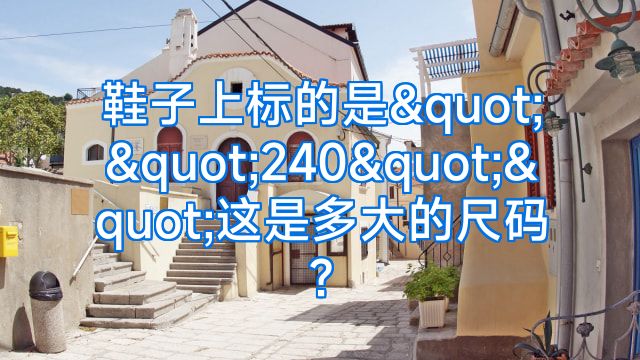 鞋子上标的是""240""这是多大的尺码?