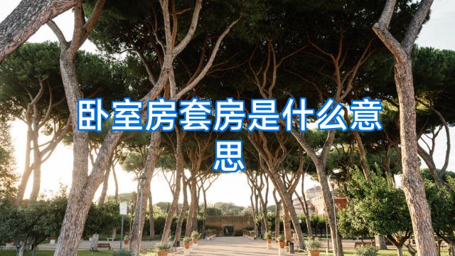 卧室房套房是什么意思
