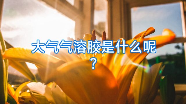 大气气溶胶是什么呢?