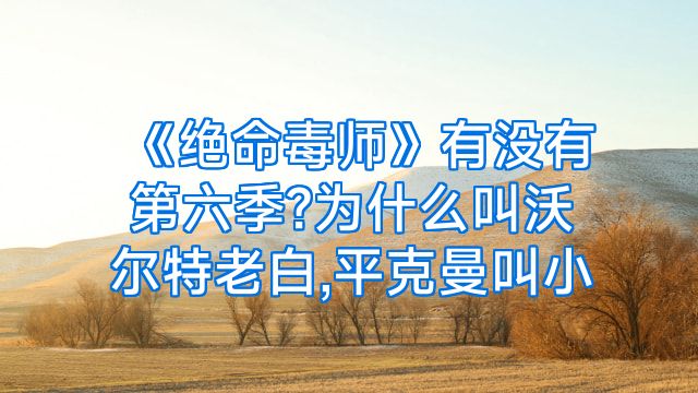 《绝命毒师》有没有第六季?为什么叫沃尔特老白,平克曼叫小