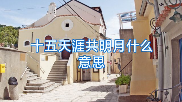 十五天涯共明月什么意思
