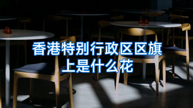 香港特别行政区区旗上是什么花