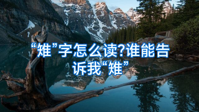 “雉”字怎么读?谁能告诉我“雉”