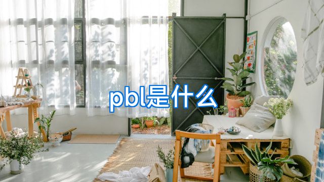 pbl是什么