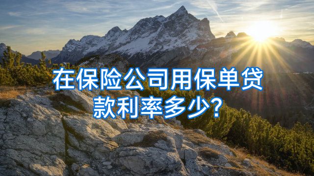 在保险公司用保单贷款利率多少?