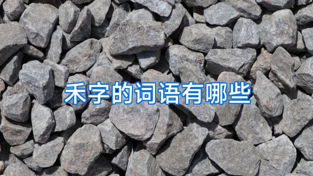 禾字的词语有哪些