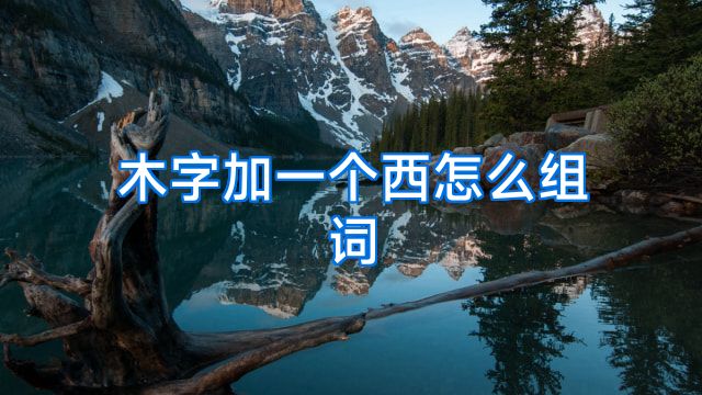 木字加一个西怎么组词