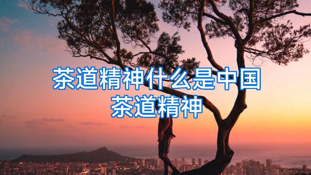 茶道精神什么是中国茶道精神