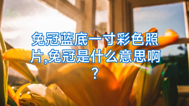 免冠蓝底一寸彩色照片,免冠是什么意思啊?