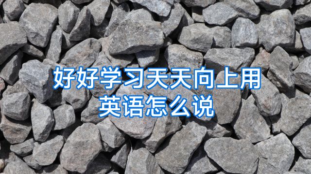 好好学习天天向上用英语怎么说