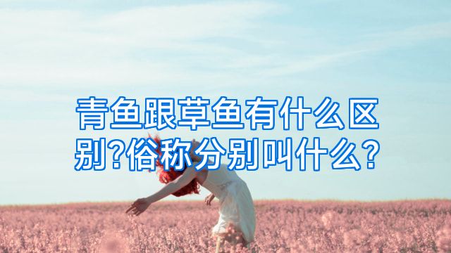 青鱼跟草鱼有什么区别?俗称分别叫什么?