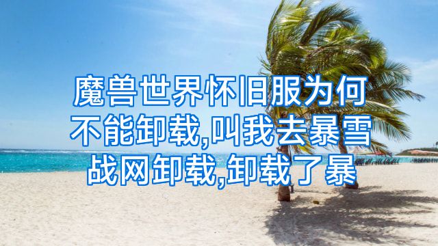 魔兽世界怀旧服为何不能卸载,叫我去暴雪战网卸载,卸载了暴