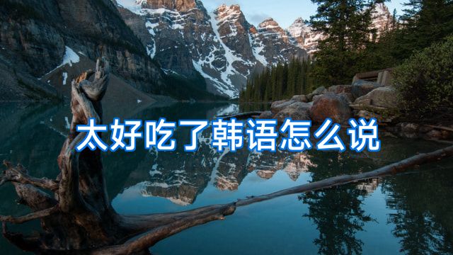 太好吃了韩语怎么说
