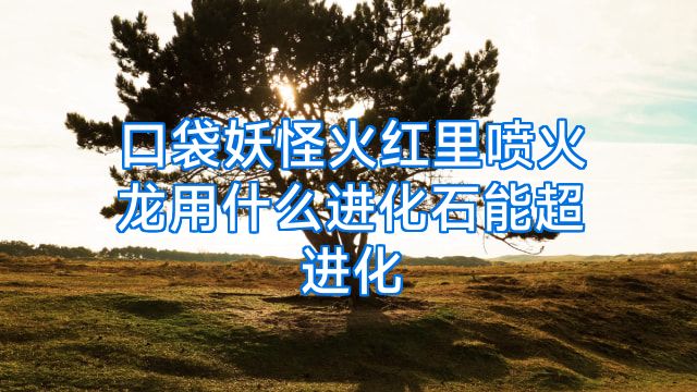 口袋妖怪火红里喷火龙用什么进化石能超进化