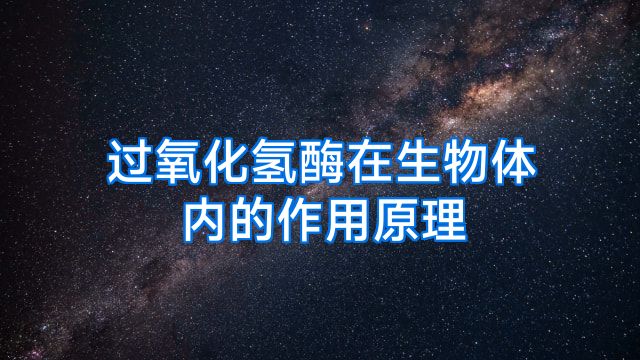 过氧化氢酶在生物体内的作用原理