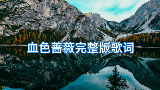 血色蔷薇完整版歌词