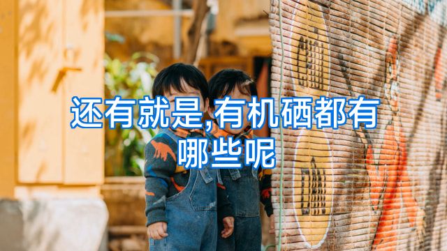 还有就是,有机硒都有哪些呢