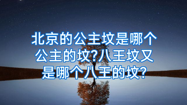 北京的公主坟是哪个公主的坟?八王坟又是哪个八王的坟?