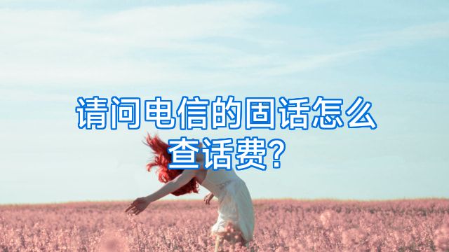 请问电信的固话怎么查话费?