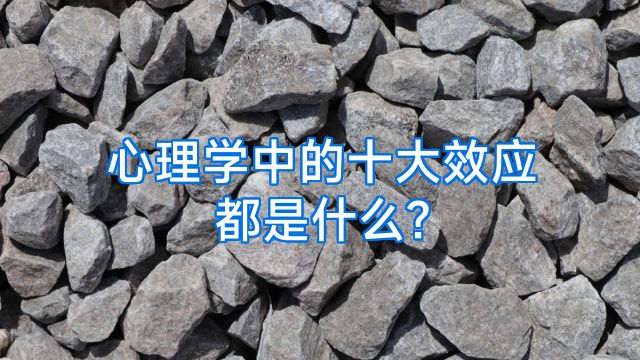 心理学中的十大效应都是什么?