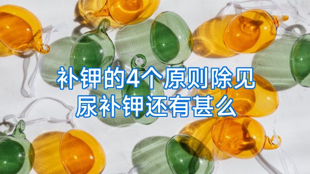 补钾的4个原则除见尿补钾还有甚么