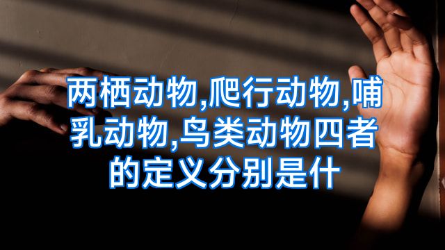 两栖动物,爬行动物,哺乳动物,鸟类动物四者的定义分别是什