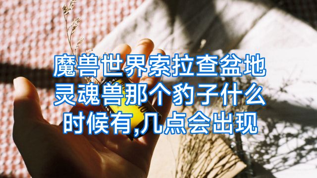 魔兽世界索拉查盆地灵魂兽那个豹子什么时候有,几点会出现