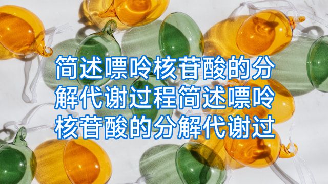 简述嘌呤核苷酸的分解代谢过程简述嘌呤核苷酸的分解代谢过